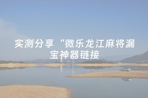 实测分享“微乐龙江麻将漏宝神器链接（专用辅牌神器免安装）