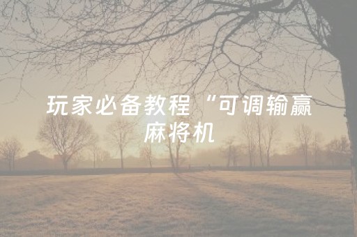 玩家必备教程“可调输赢麻将机（助赢神器通用版）