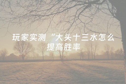 玩家实测“大头十三水怎么提高胜率（专用辅牌神器免安装）