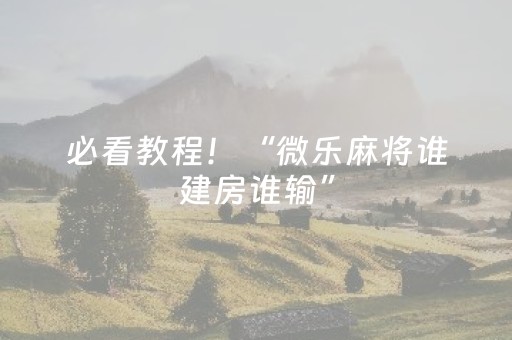 必看教程！“微乐麻将谁建房谁输”（详细辅助教程）-哔哩哔哩