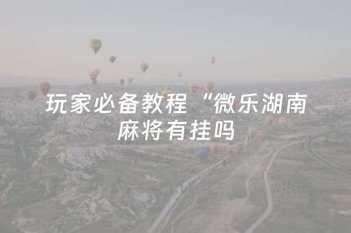 玩家必备教程“微乐湖南麻将有挂吗（专用辅牌神器免安装）