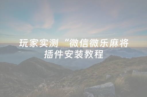 玩家实测“微信微乐麻将插件安装教程（专用辅牌神器免安装）