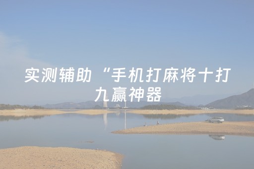 实测辅助“手机打麻将十打九赢神器（专用辅牌神器免安装）