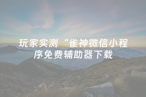 玩家实测“雀神微信小程序免费辅助器下载（专用辅牌神器免安装）