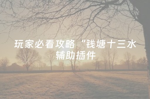玩家必看攻略“钱塘十三水辅助插件（助赢神器通用版）