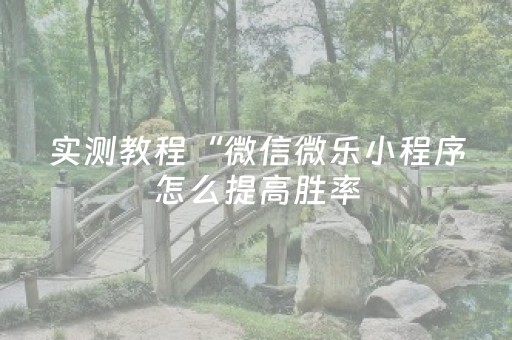 实测教程“微信微乐小程序怎么提高胜率（助赢神器通用版）