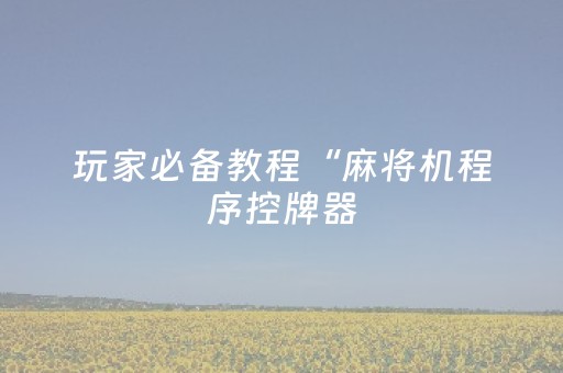 玩家必备教程“麻将机程序控牌器（专用辅牌神器免安装）