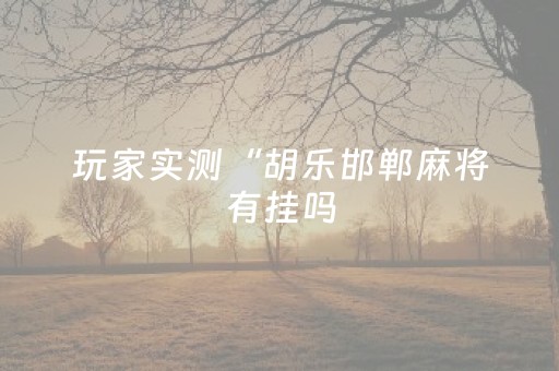 玩家实测“胡乐邯郸麻将有挂吗（专用辅牌神器免安装）