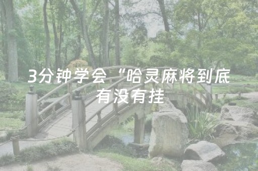 3分钟学会“哈灵麻将到底有没有挂（助赢神器通用版）