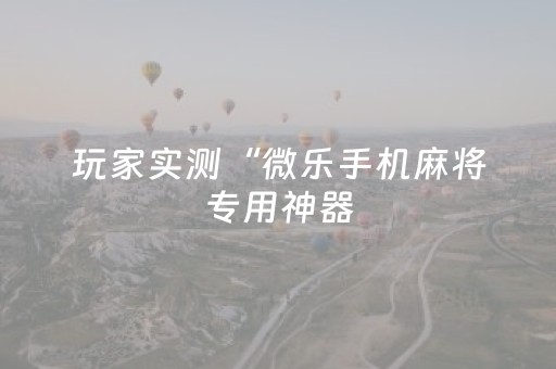 玩家实测“微乐手机麻将专用神器（专用辅牌神器免安装）