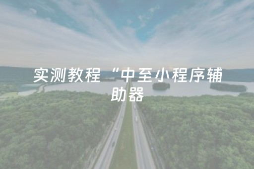 实测教程“中至小程序辅助器（专用辅牌神器免安装）