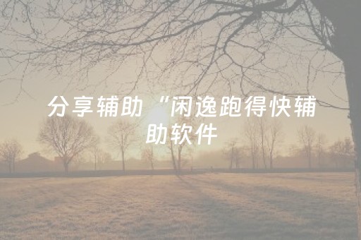 分享辅助“闲逸跑得快辅助软件（专用辅牌神器免安装）