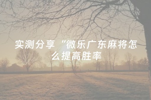 实测分享“微乐广东麻将怎么提高胜率（助赢神器通用版）