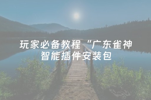 玩家必备教程“广东雀神智能插件安装包（助赢神器通用版）