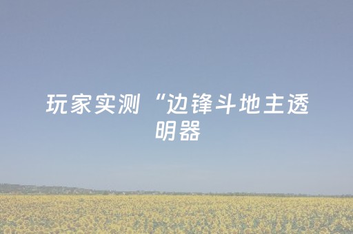 玩家实测“边锋斗地主透明器（专用辅牌神器免安装）