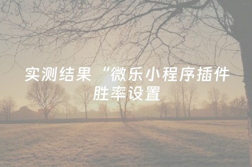 实测结果“微乐小程序插件胜率设置（专用辅牌神器免安装）