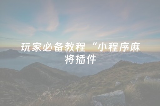 玩家必备教程“小程序麻将插件（专用辅牌神器免安装）