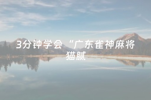 3分钟学会“广东雀神麻将猫腻（专用辅牌神器免安装）