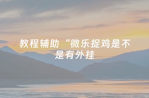 教程辅助“微乐捉鸡是不是有外挂（助赢神器通用版）