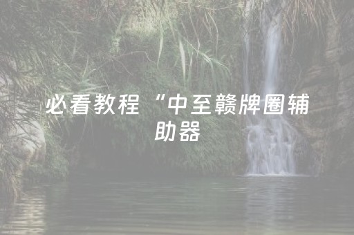 必看教程“中至赣牌圈辅助器（助赢神器通用版）