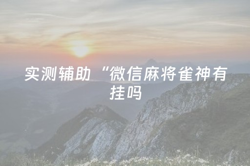 实测辅助“微信麻将雀神有挂吗（专用辅牌神器免安装）