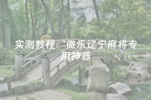 实测教程“微乐辽宁麻将专用神器（助赢神器通用版）