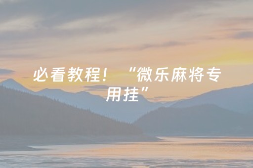 必看教程！“微乐麻将专用挂”（详细开挂教程）-哔哩哔哩