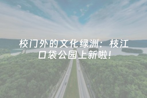 玩家必看教程！“雀神麻将怎么设置胜率高”（详细透视教程）-哔哩哔哩