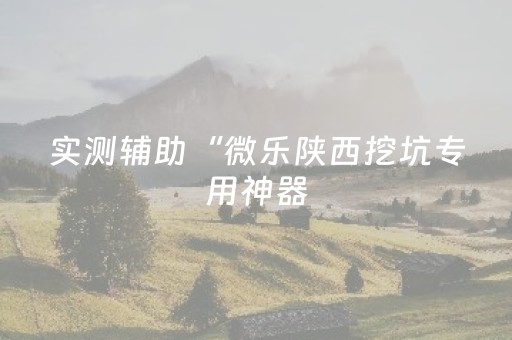 实测辅助“微乐陕西挖坑专用神器（助赢神器通用版）