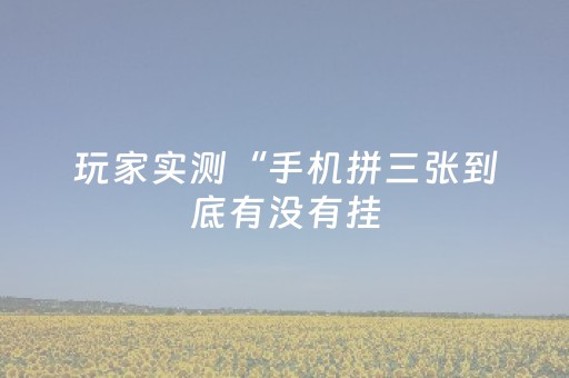 玩家实测“手机拼三张到底有没有挂（专用辅牌神器免安装）