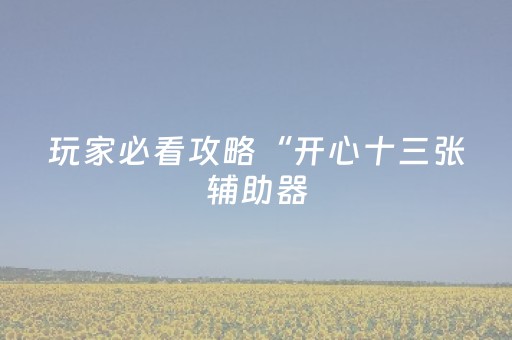 玩家必看攻略“开心十三张辅助器（助赢神器通用版）