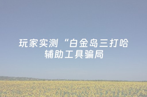 玩家实测“白金岛三打哈辅助工具骗局（助赢神器通用版）