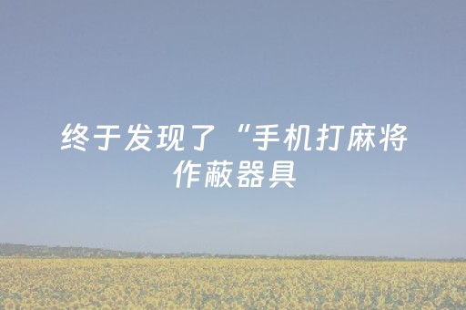 终于发现了“手机打麻将作蔽器具（专用辅牌神器免安装）