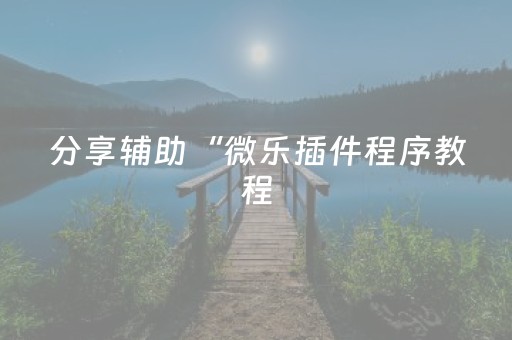 分享辅助“微乐插件程序教程（专用辅牌神器免安装）
