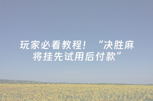 玩家必看教程！“决胜麻将挂先试用后付款”（详细开挂教程）-哔哩哔哩