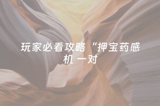 玩家必看攻略“押宝药感机 一对（专用辅牌神器免安装）