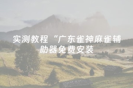 实测教程“广东雀神麻雀辅助器免费安装（专用辅牌神器免安装）