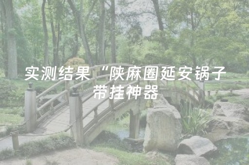实测结果“陕麻圈延安锅子带挂神器（专用辅牌神器免安装）