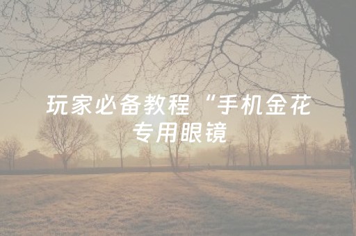玩家必备教程“手机金花专用眼镜（助赢神器通用版）