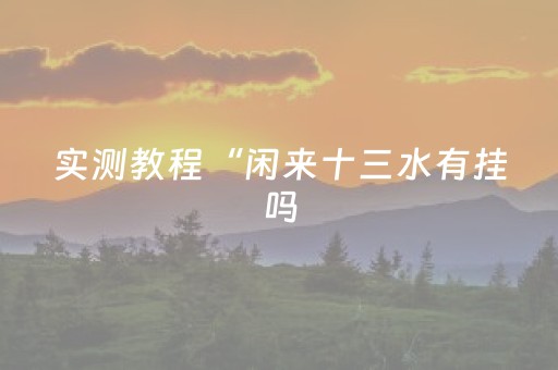 实测教程“闲来十三水有挂吗（专用辅牌神器免安装）