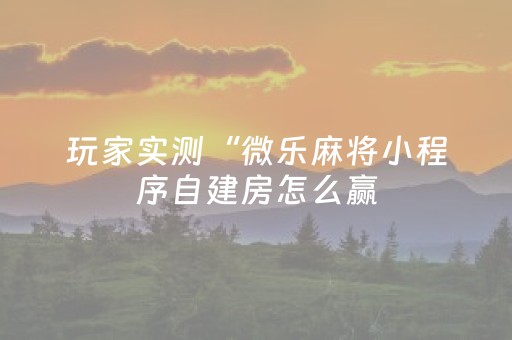 玩家实测“微乐麻将小程序自建房怎么赢（助赢神器通用版）