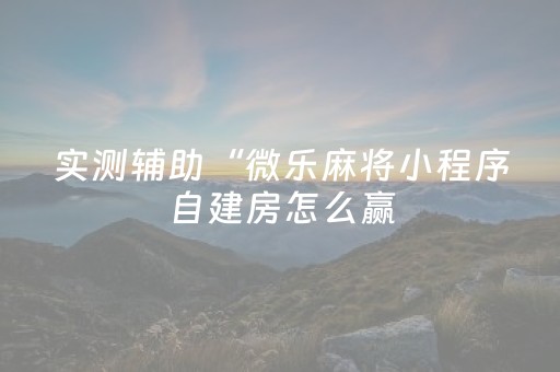 实测辅助“微乐麻将小程序自建房怎么赢（助赢神器通用版）