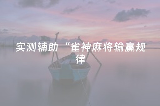 实测辅助“雀神麻将输赢规律（助赢神器通用版）