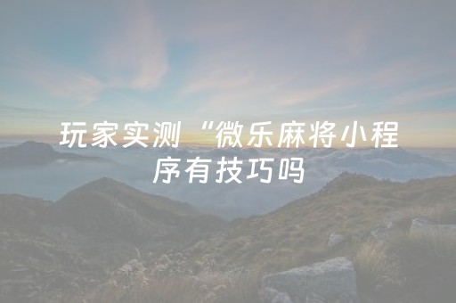 玩家实测“微乐麻将小程序有技巧吗（专用辅牌神器免安装）