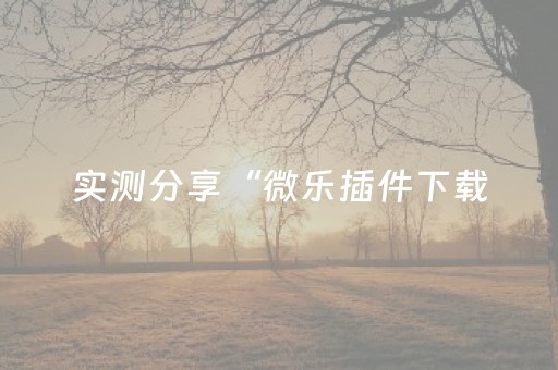实测分享“微乐插件下载（专用辅牌神器免安装）