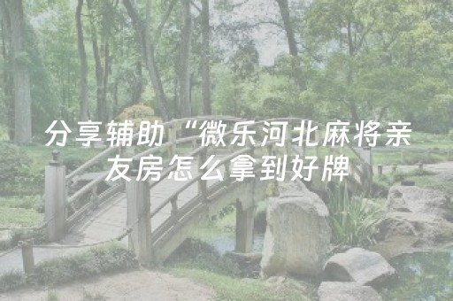 分享辅助“微乐河北麻将亲友房怎么拿到好牌（助赢神器通用版）
