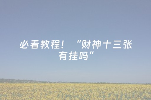 必看教程！“财神十三张有挂吗”（详细辅助教程）-哔哩哔哩