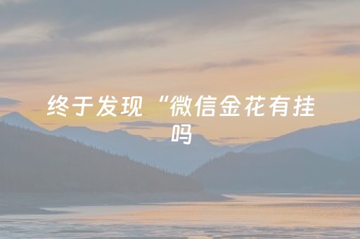 终于发现“微信金花有挂吗（专用辅牌神器免安装）