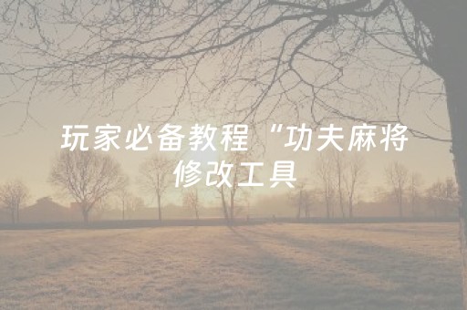 玩家必备教程“功夫麻将修改工具（助赢神器通用版）