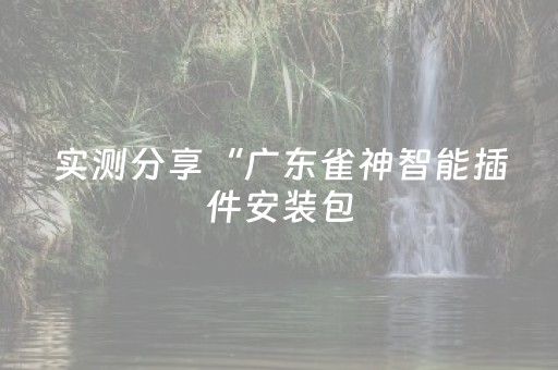 实测分享“广东雀神智能插件安装包（专用辅牌神器免安装）